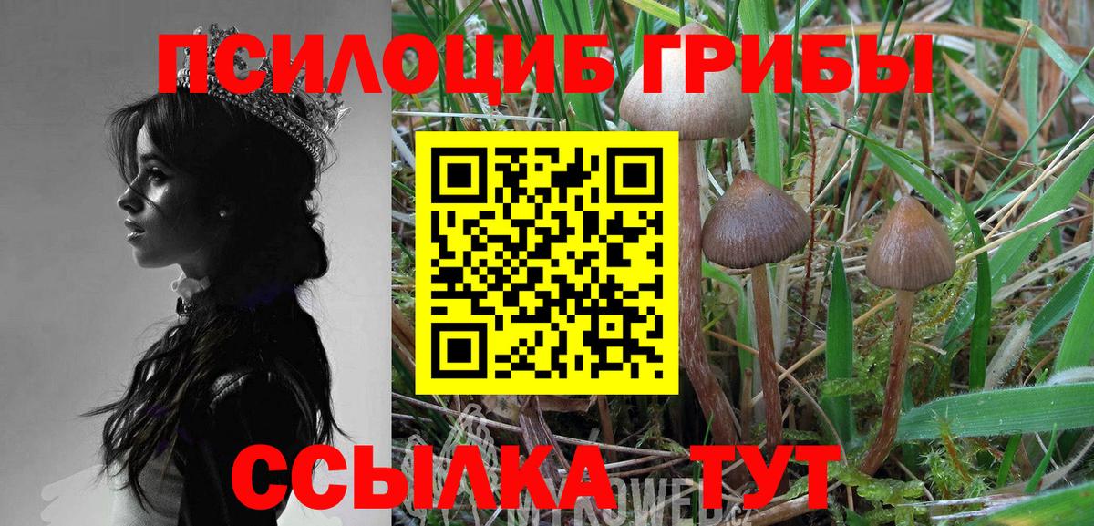 Галлюциногенные грибы мухоморы Людиново